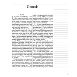 Bible ČSP pevná vazba, prostor pro poznámky