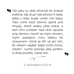 Kartičky - Nové jméno