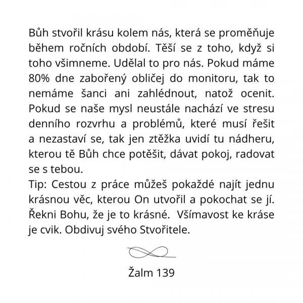 Kartičky - Zastav se