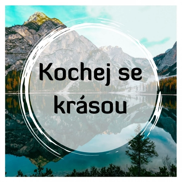 Kartičky - Zastav se